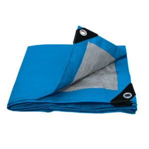 Lona Economica Azul 2x3m