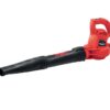 Sopladora electrica de 960w Santul