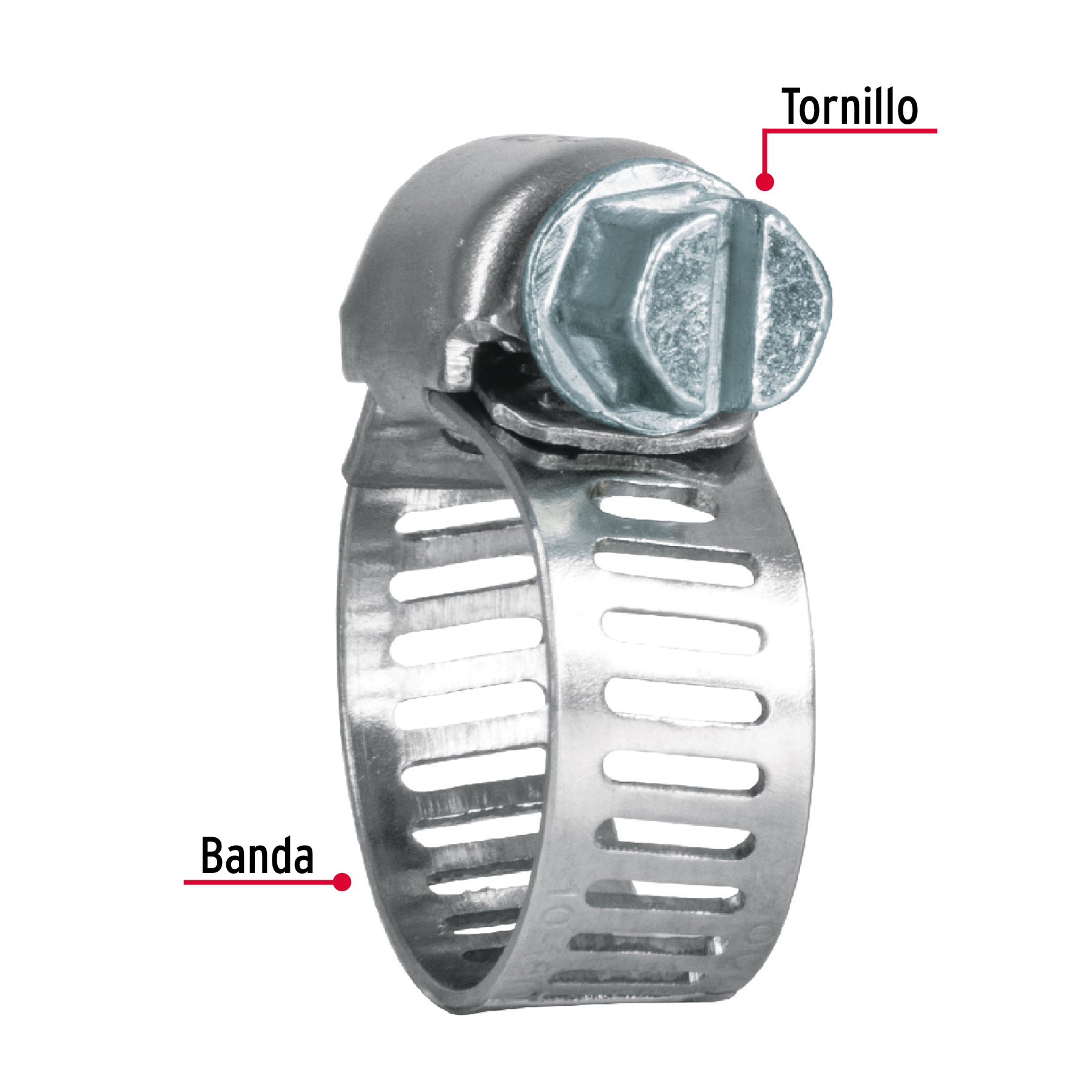 Pack 10Pzas Mini Abrazadera sin fin de 1/2 a 3/4"