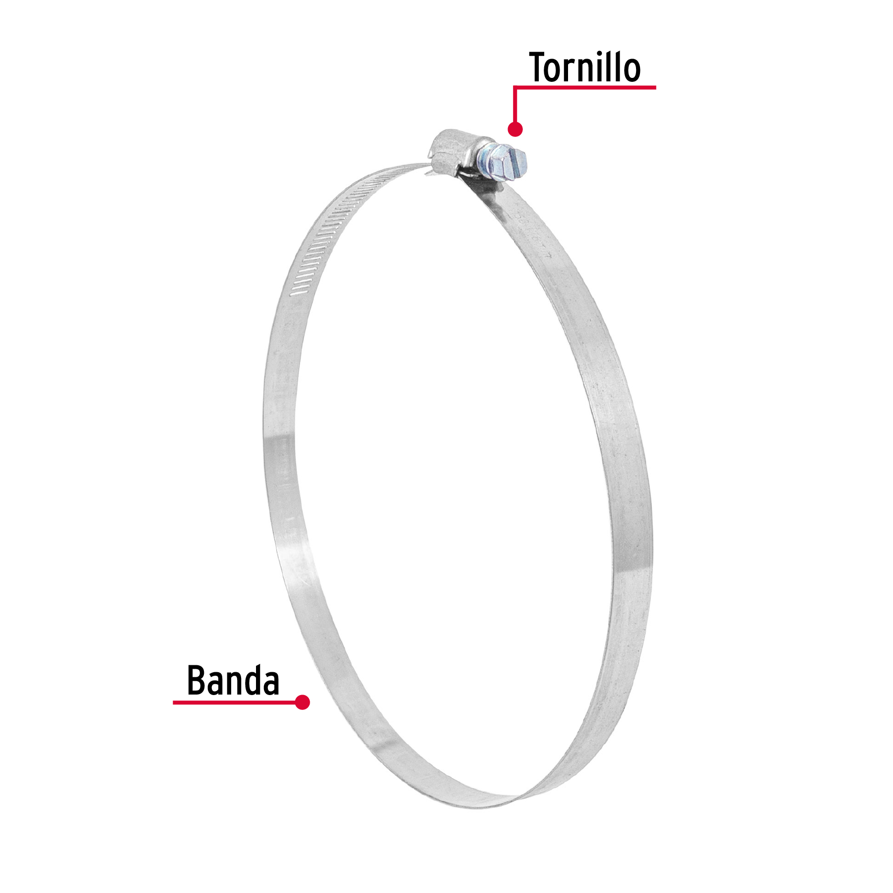 Pack de 5 pzas Abrazadera reforzada sin fin de 6-1/8 - 7"