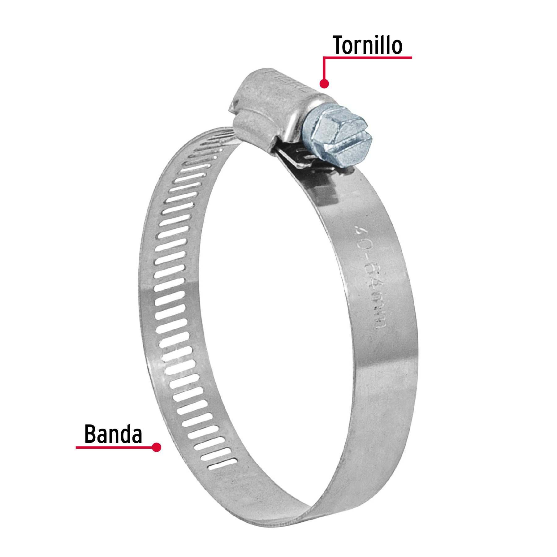 Pack de 5 pzas Abrazadera sin fin reforzada #32 de 1-9/16 - 2-1/2"