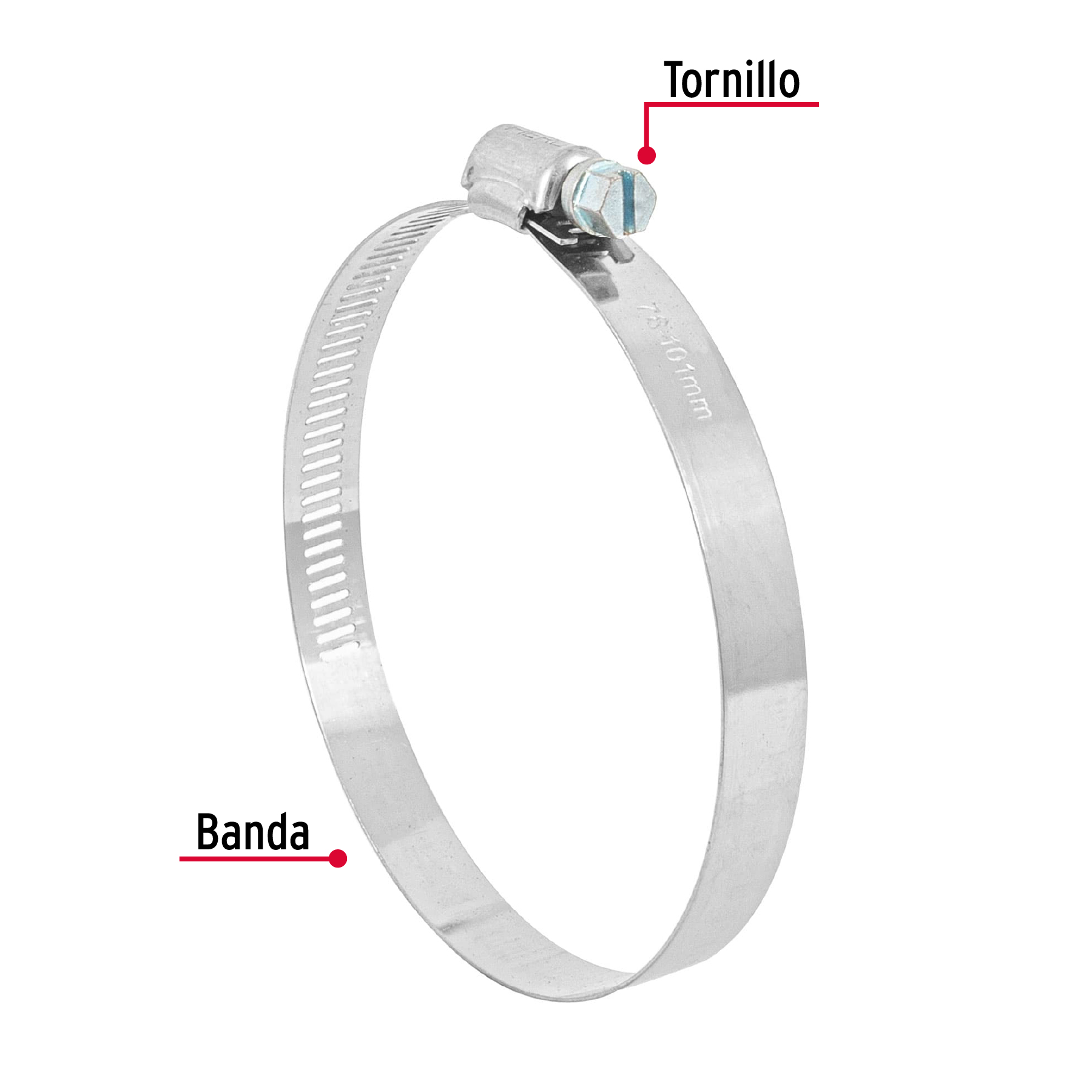 Abrazadera reforzada #56 de 3-1/16 - 4" bolsa 5 piezas