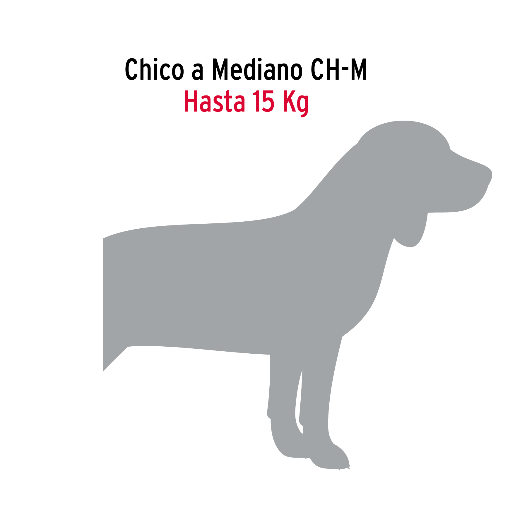 Cadena Correa de paseo para perro 1.2m eslabon 3mm