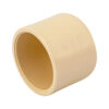 Tapon de CPVC, 1"