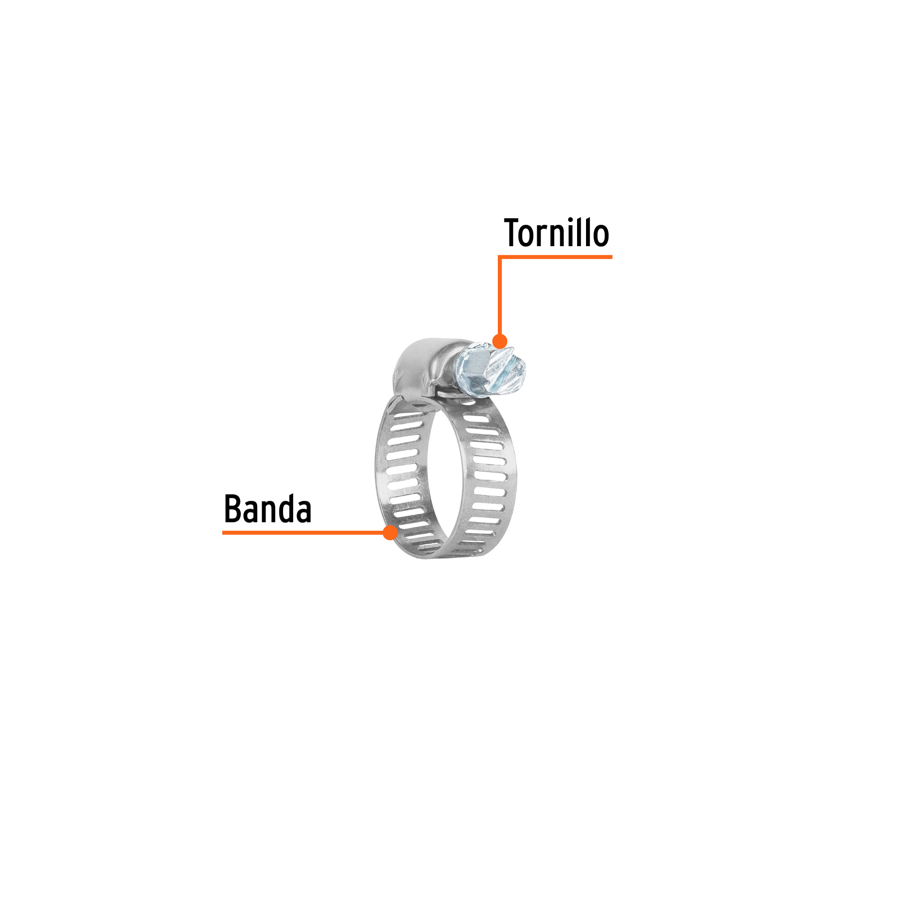 Pack 4 Abrazadera Sin Fin Acero inoxidable 1/2" a 3/4"