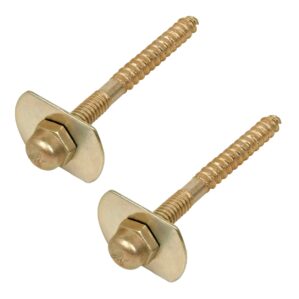 Par de Pijas Tornillos Sanitarios para WC